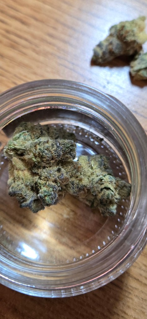 Truffle T in the jar