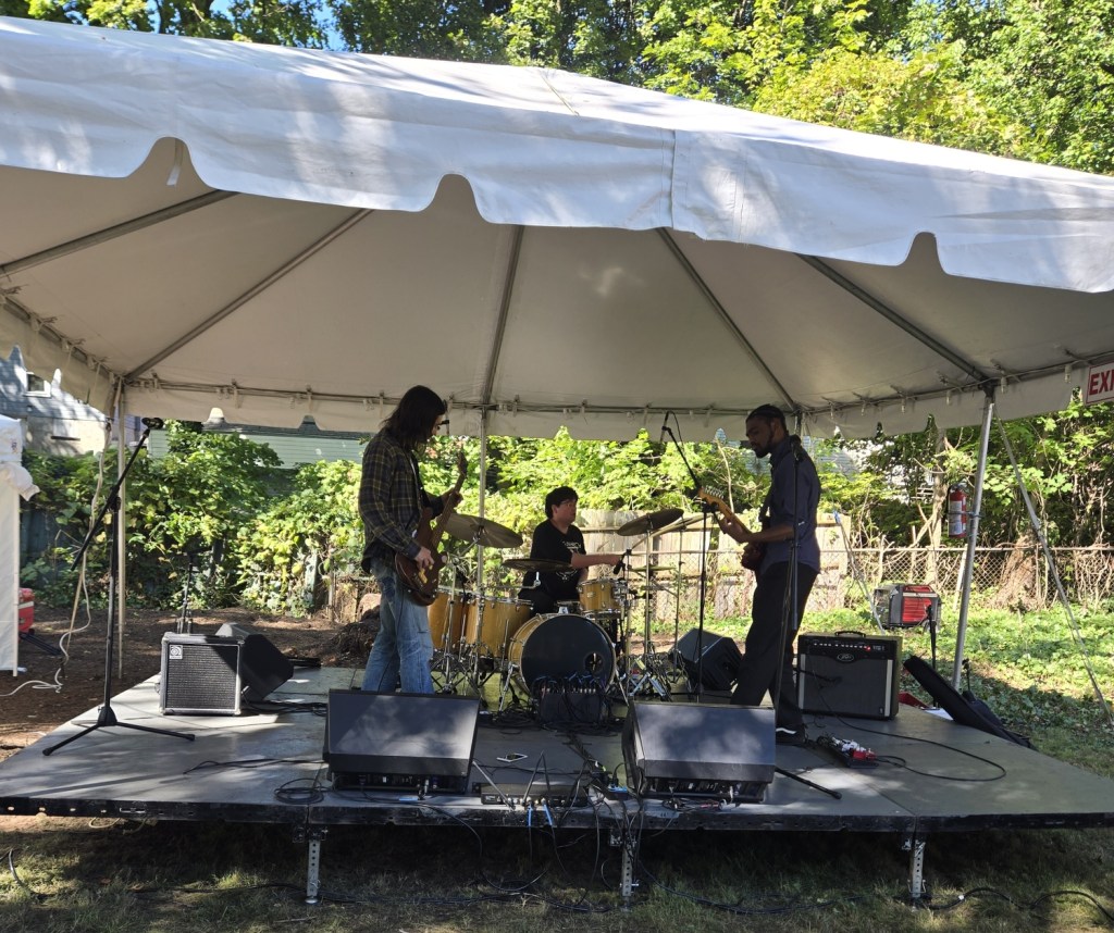 Euphoria Pleasant playing live