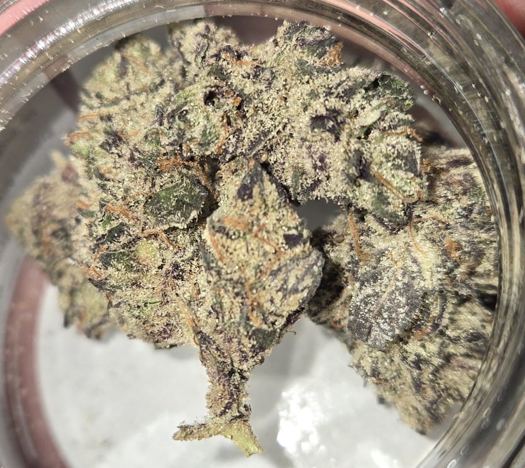 U.F.O.G. from Old Pal cannabis in its jar