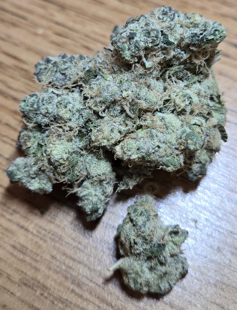 Thai Kush from King City Gardens