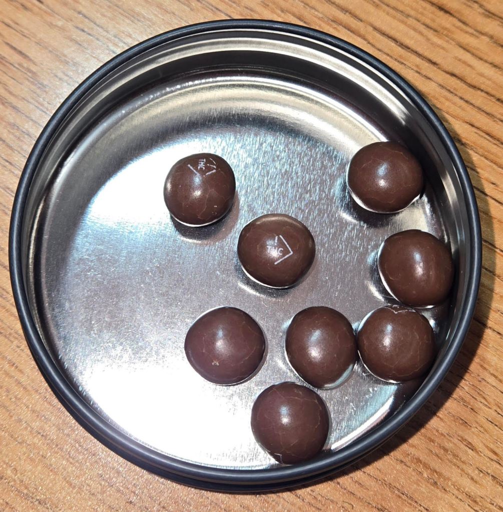 Kiva Terra Infused Blueberry Chocolate Bites 100mg 20 pack