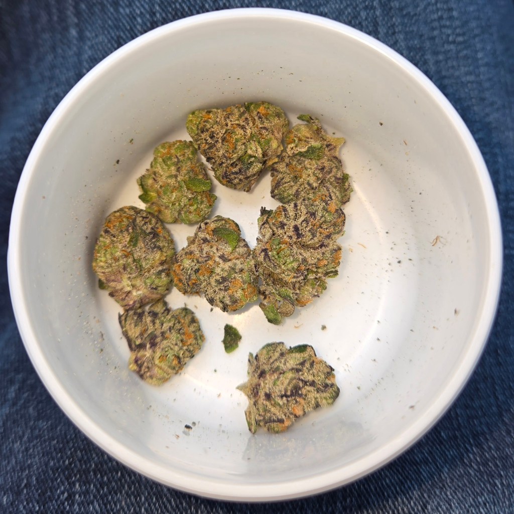 Belushi Farm's Caddie Rainbowz