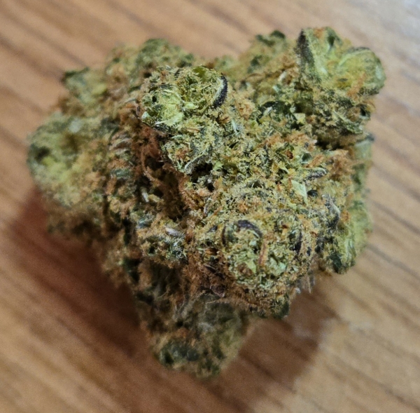 Butterfly Effect Black Jack flower