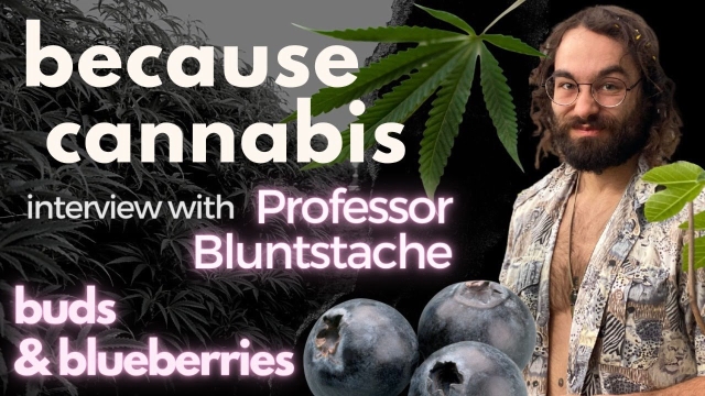 Professor Bluntstache