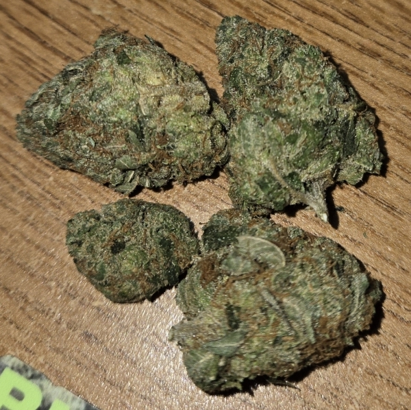 Hawaiian Snowcone hybrid flower from Galenas