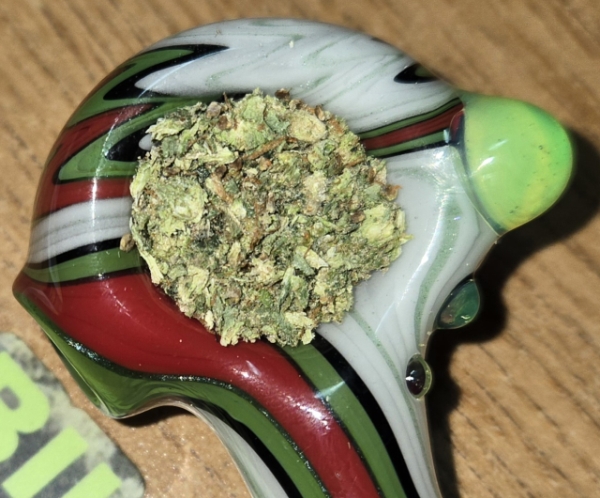 Galenas Hawaiian Snowcone hybrid flower, packed, 24.7% THC