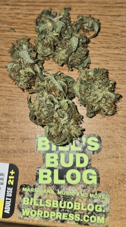 Sunshine #4 x '88 G13 Hash Plant