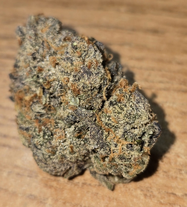 Galenas Astral Destiny