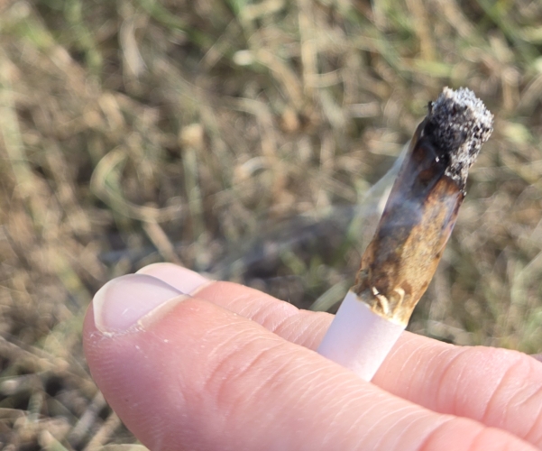 Aura Lemon Royale Pre-Roll in flames