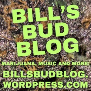Bill's Bud Blog sticker 2025