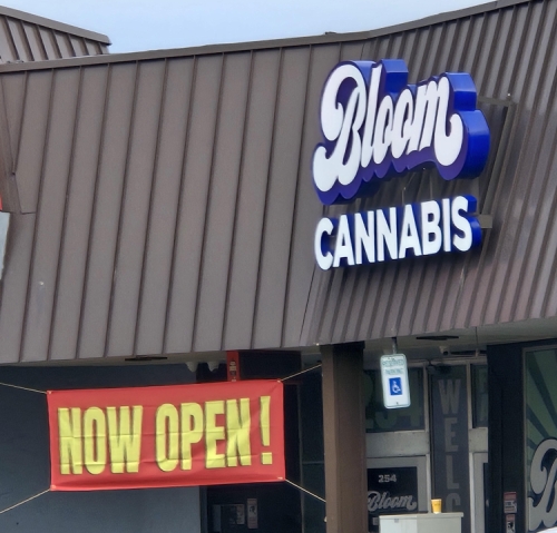 Bloom in Massillon, Ohio