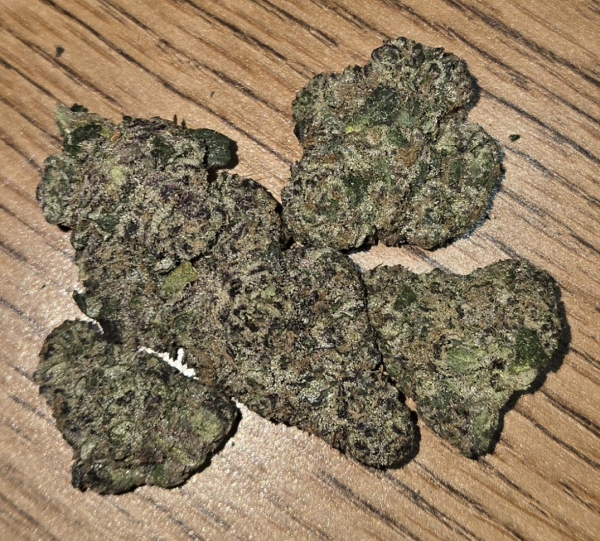 Gasanova from Habitat