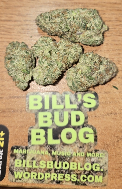 Pine Berry Sorbet from Habitat