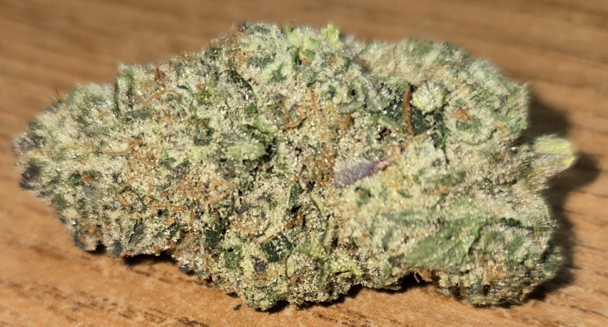 Pine Berry Sorbet from Habitat