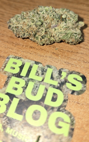 Pine Berry Sorbet from Habitat