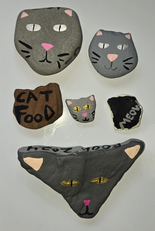 Cat rocks