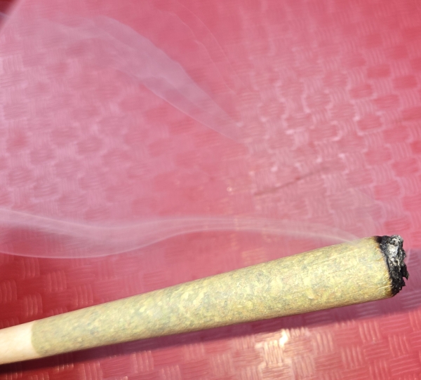 Buckeye Sour Larry Cross raw pre-roll 1 gram