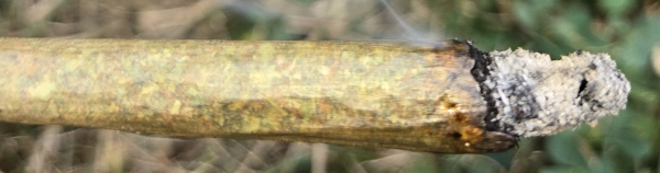 Buckeye Sour Larry Cross raw pre-roll 1 gram