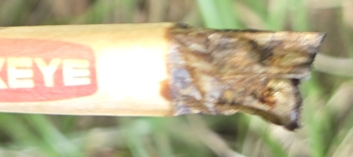 Buckeye Sour Larry Cross raw pre-roll 1 gram