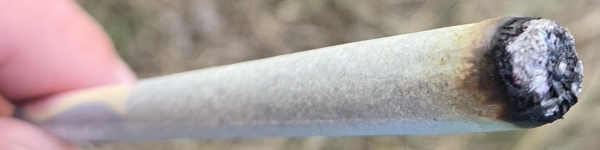 Initial spark of the Northern Lights pre-roll