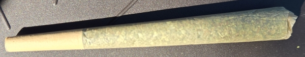 Certified FL Sunrise Sativa Pre-Roll 21.5% THC