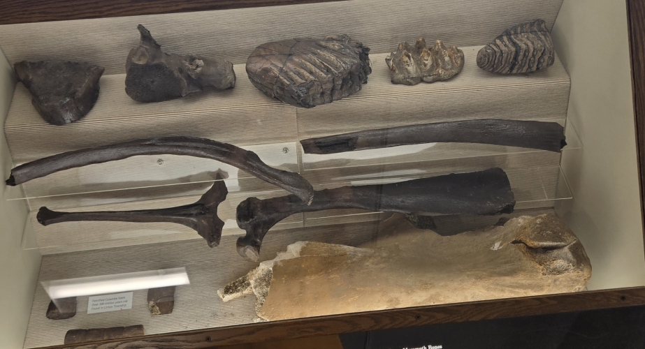 Mammoth bones found in Holmes County, Ohio