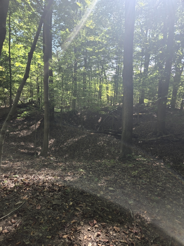 Flint Ridge Quarry Trail pit