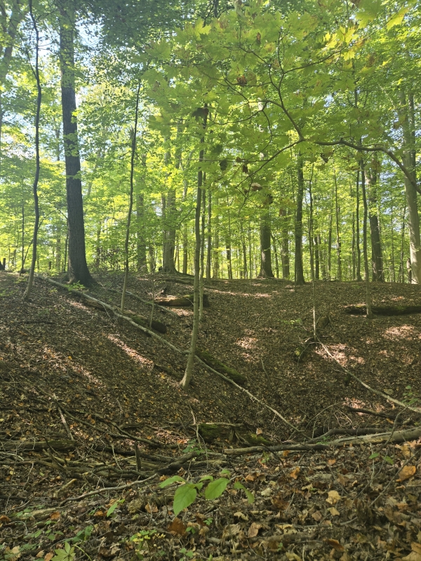 Flint Ridge Quarry Trail pit