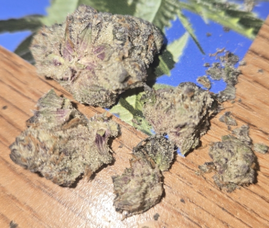 The Parfait bud was dry, but not unsmokable