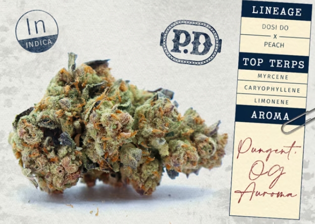 Peach Dosi from Butterfly Effect